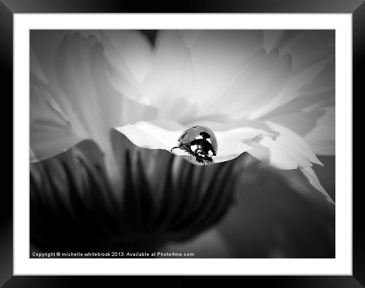 Life on the edge B/W Framed Mounted Print by michelle whitebrook