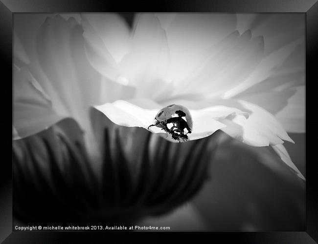 Life on the edge B/W Framed Print by michelle whitebrook