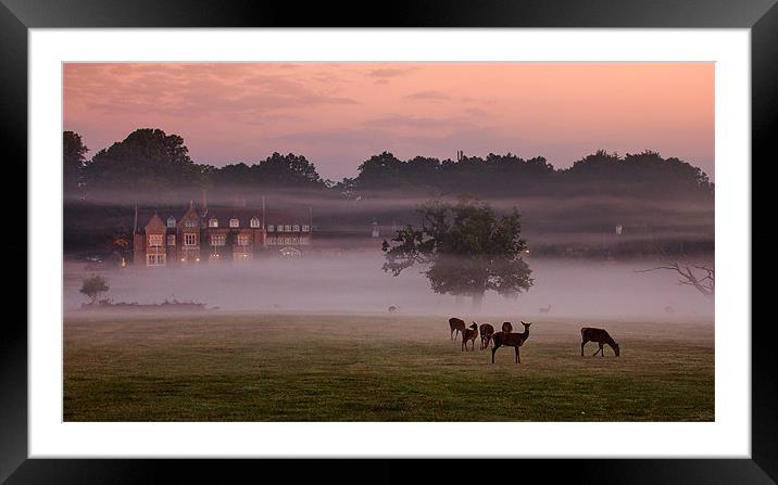 Deer in the Mist Framed Mounted Print by Jennie Franklin