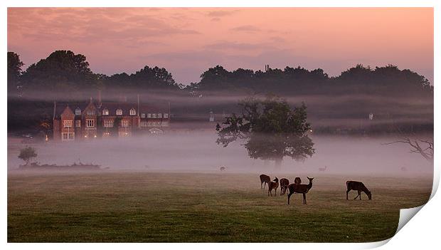 Deer in the Mist Print by Jennie Franklin