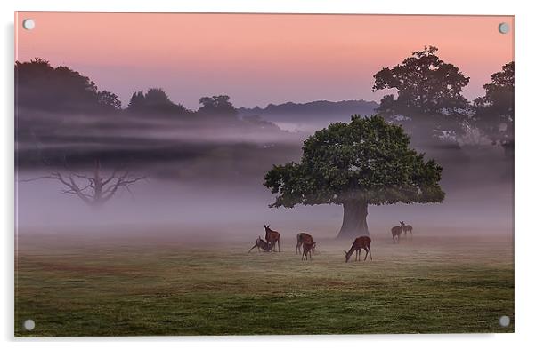 Misty Deer and Tree Acrylic by Jennie Franklin