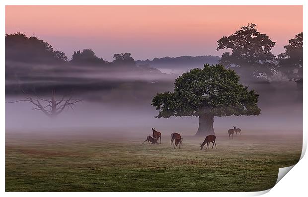 Misty Deer and Tree Print by Jennie Franklin