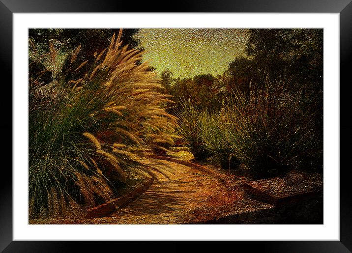 The Garden Framed Mounted Print by Fine art by Rina