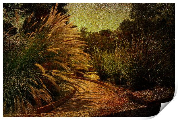 The Garden Print by Fine art by Rina