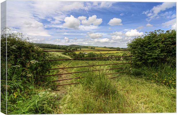 Countryside View Canvas Print by Ian Mitchell