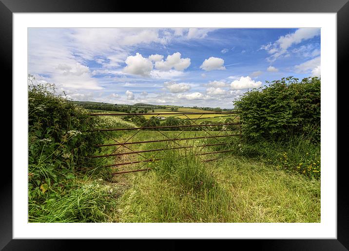 Countryside View Framed Mounted Print by Ian Mitchell