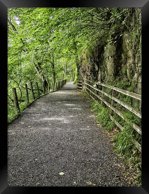 the path Framed Print by Robert Bennett