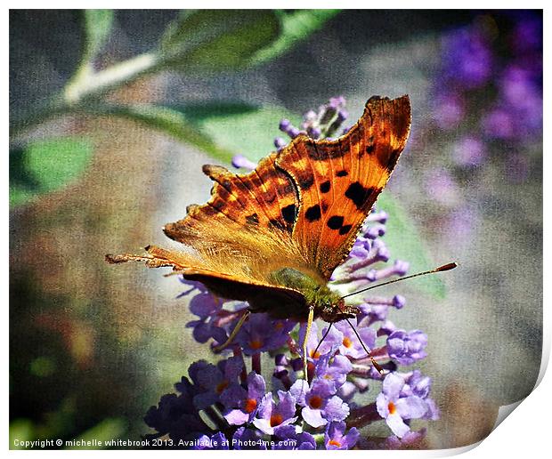 BUTTERFLY 6 Print by michelle whitebrook