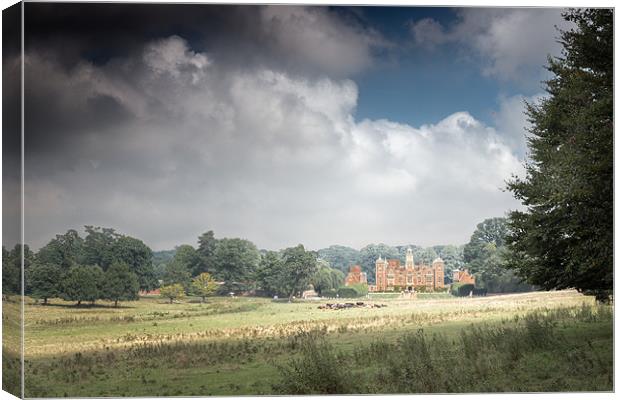 Across the field to Blickling Canvas Print by Stephen Mole