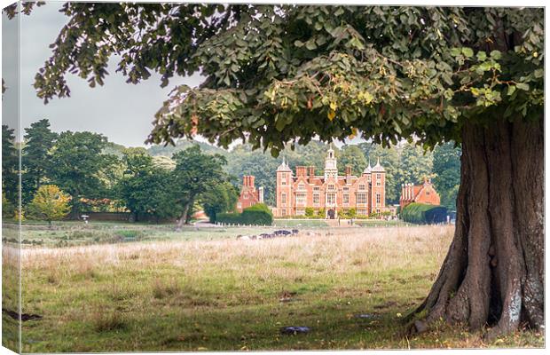 Blickling Hall by a Beech Tree Canvas Print by Stephen Mole