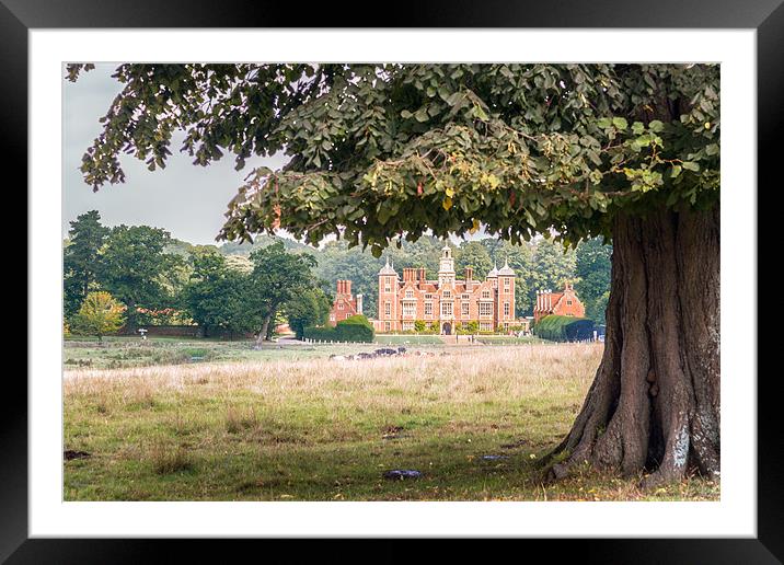 Blickling Hall by a Beech Tree Framed Mounted Print by Stephen Mole