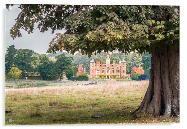 Blickling Hall by a Beech Tree Acrylic by Stephen Mole