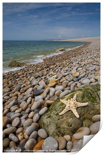 Chesil Beach Starfish Print by Graham Custance