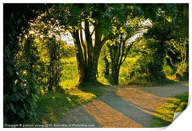 Late Summer Sun Print by graham young