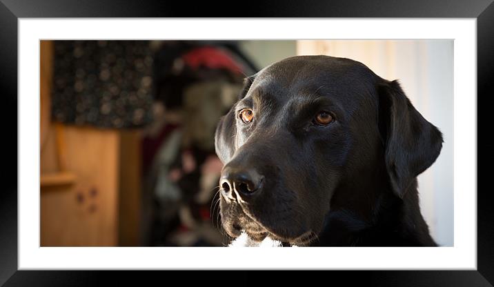 Handsome Framed Mounted Print by Simon Wrigglesworth