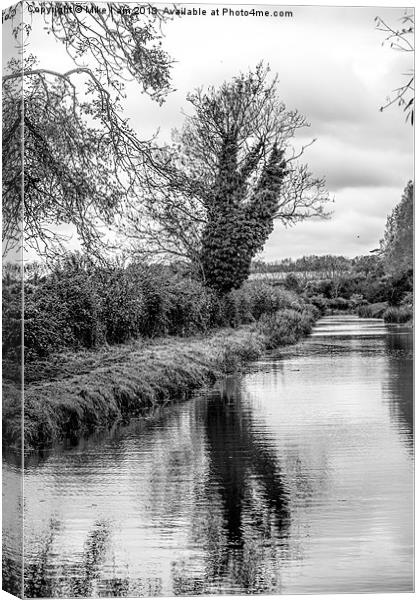 Tree by the river Canvas Print by Thanet Photos
