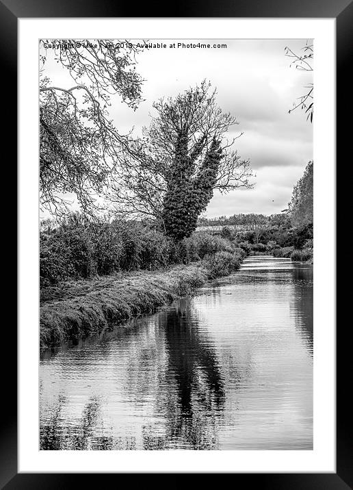 Tree by the river Framed Mounted Print by Thanet Photos