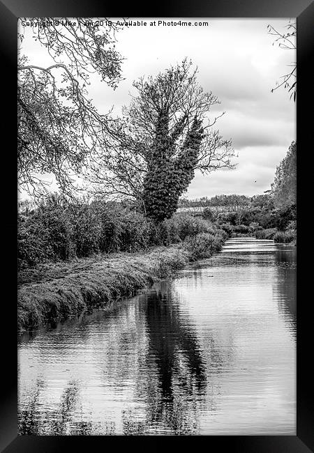 Tree by the river Framed Print by Thanet Photos