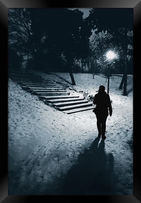 Winter walk Framed Print by Livia Ivanovici