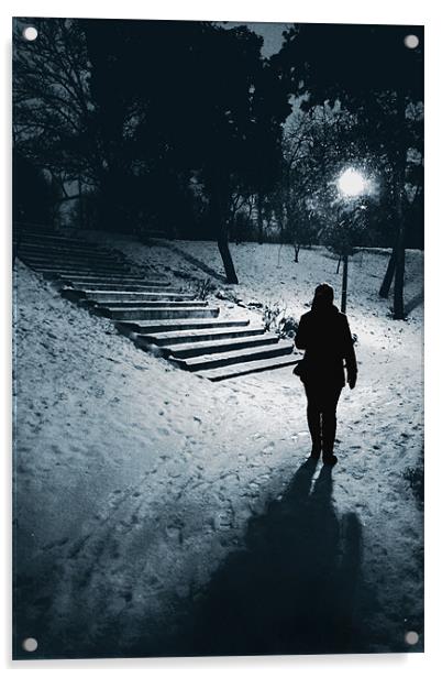 Winter walk Acrylic by Livia Ivanovici