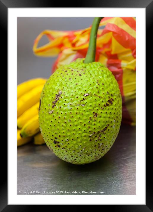 soursop or Guanabana Framed Mounted Print by Craig Lapsley