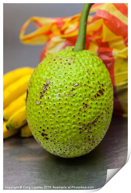 soursop or Guanabana Print by Craig Lapsley