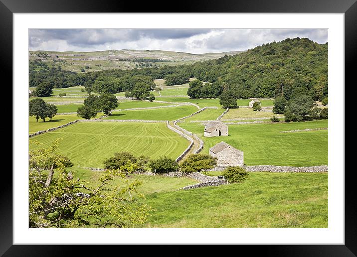 Yorkshire Dales Landscape Framed Mounted Print by Paula Connelly