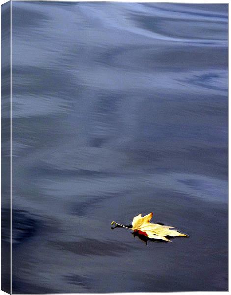 Leaf it alone..... Canvas Print by Jo Hoden