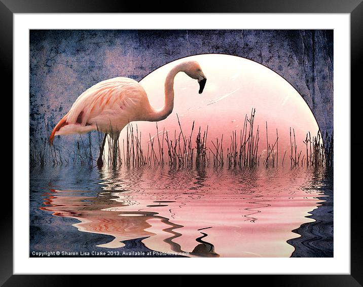 Flamingo Moon Framed Mounted Print by Sharon Lisa Clarke