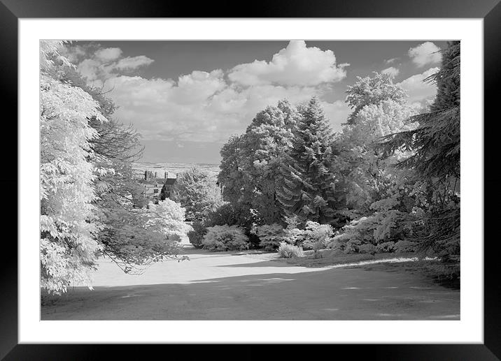 Batsford Arboretum. Framed Mounted Print by Stuart Thomas