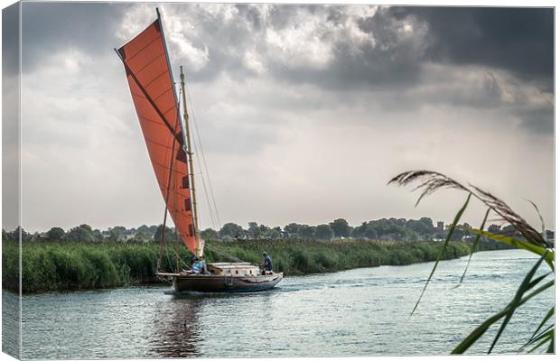 Yachting along the River Thurne Canvas Print by Stephen Mole