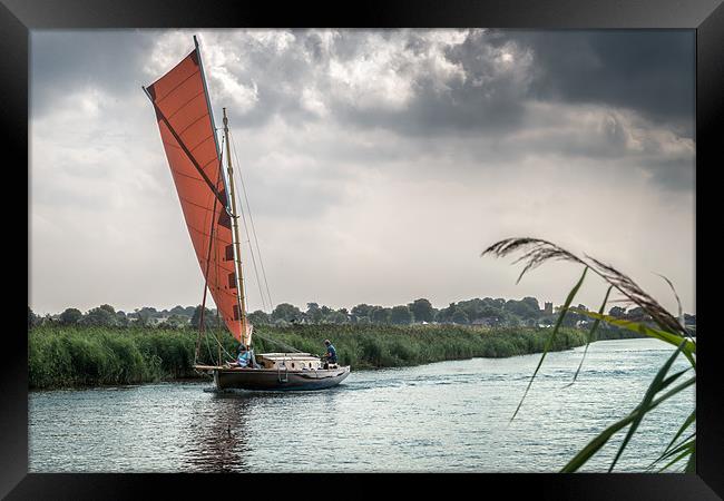 Yachting along the River Thurne Framed Print by Stephen Mole