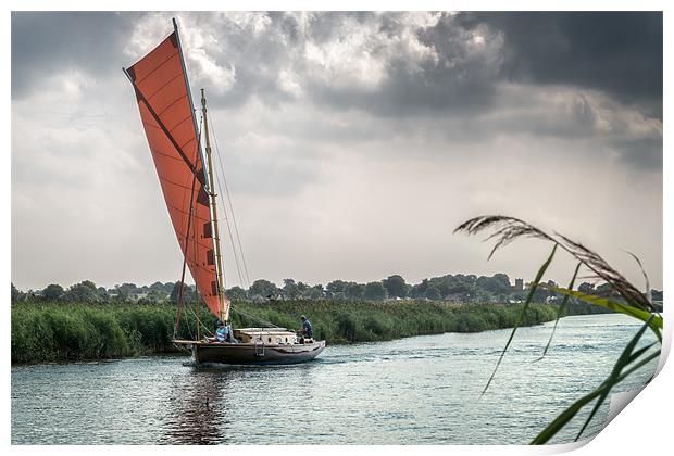 Yachting along the River Thurne Print by Stephen Mole