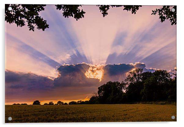 Cornfield Sunset Acrylic by Peter Blunn