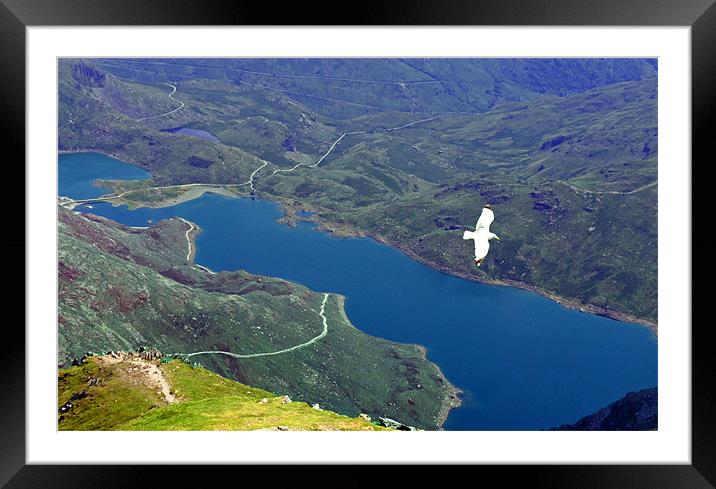Lake View from Snowdon Summit Framed Mounted Print by Reg Dobson