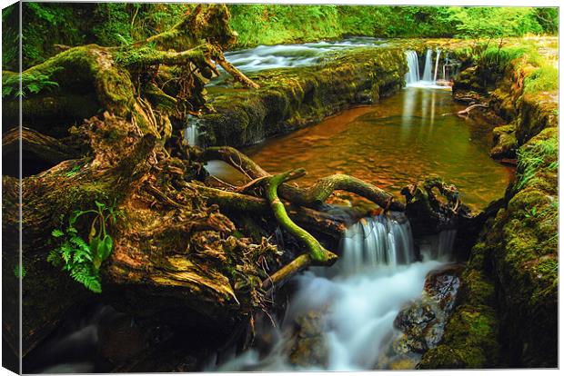 Waterfall county, South Wales Canvas Print by Leighton Collins