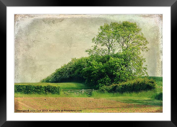 Across The Fields Framed Mounted Print by Julie Coe