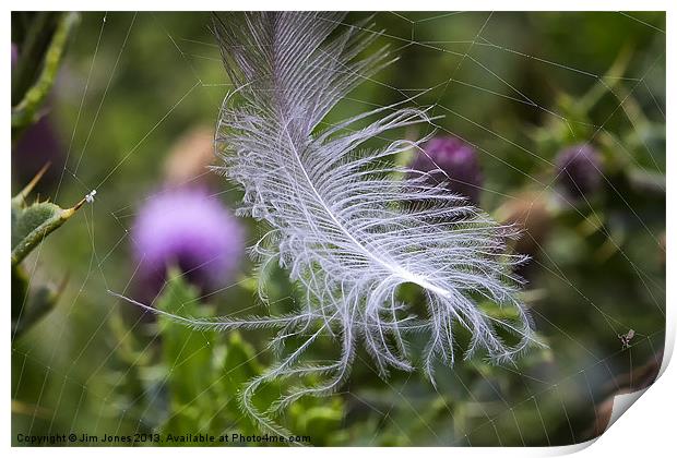White feather caught in a web Print by Jim Jones