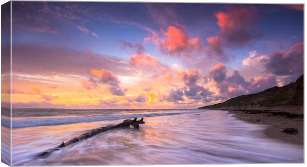 Driftwood I Canvas Print by Lee Thorne