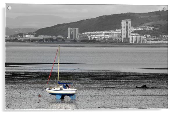 Rosie in Swansea Bay Acrylic by Mark Campion