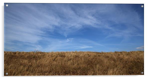 Above Us Only Sky Acrylic by Nigel Jones