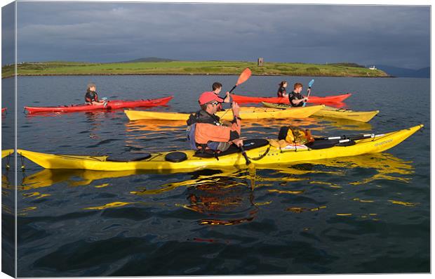 Kayaks in Dingle Bay Canvas Print by barbara walsh