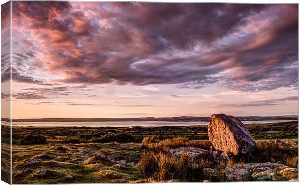 Arthurs stone, North Gower, Wales Canvas Print by Leighton Collins