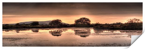 Broad Pool North Gower Print by Leighton Collins