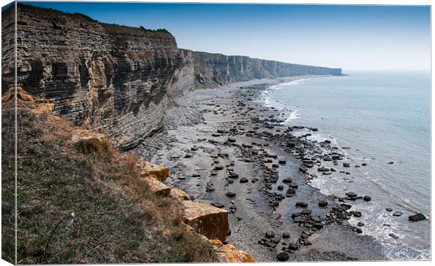 Heritage coast South Wales Canvas Print by Leighton Collins