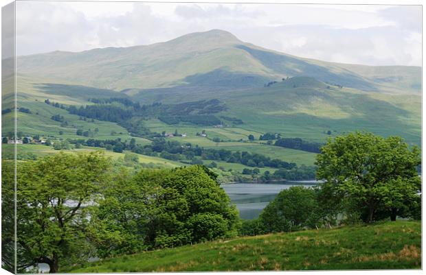 Perthshire Mountains Canvas Print by Ruth Hallam
