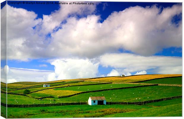 Barns in Landscape North Pennines Canvas Print by Martyn Arnold