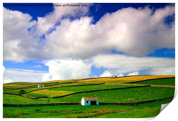 Barns in Landscape North Pennines Print by Martyn Arnold