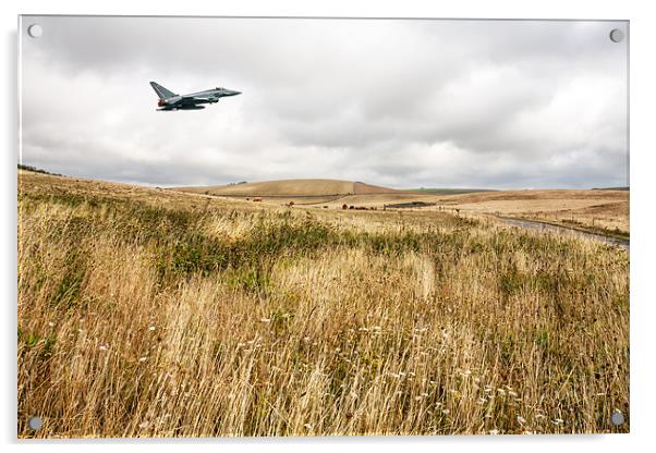 Eurofighter Typhoon South Downs Acrylic by Robert  Radford