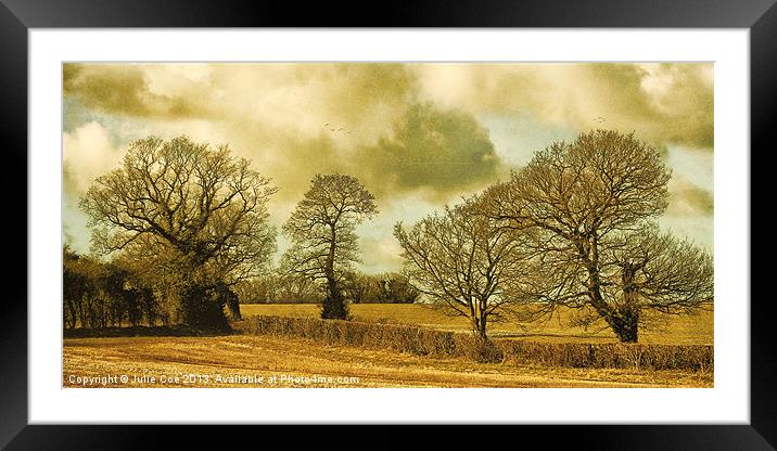 Country Scene Framed Mounted Print by Julie Coe